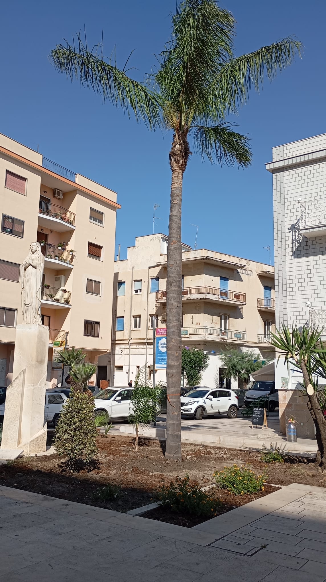 Piazza_Marconi1_Palma