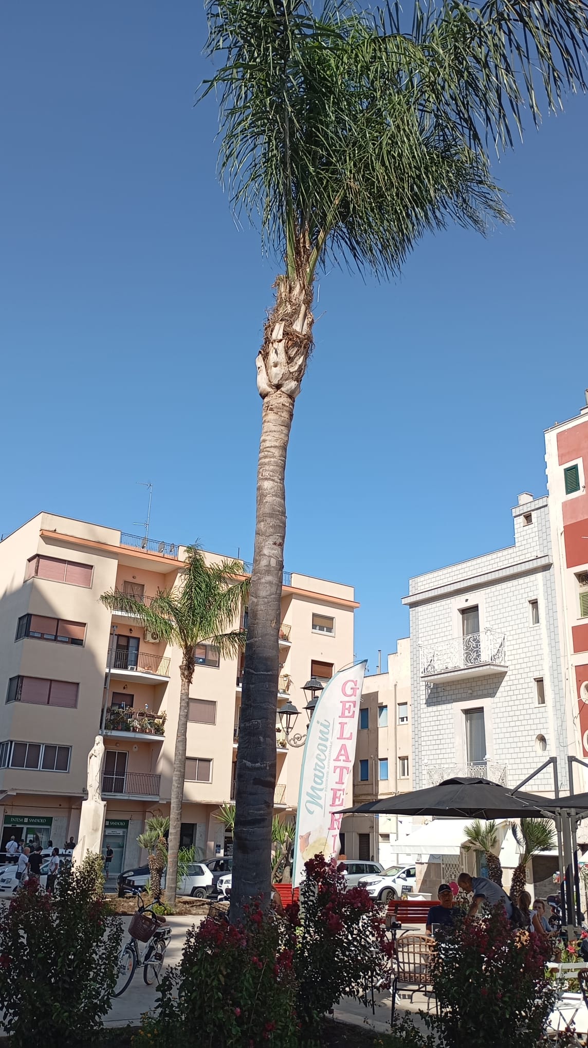 Piazza_Marconi3_Palma