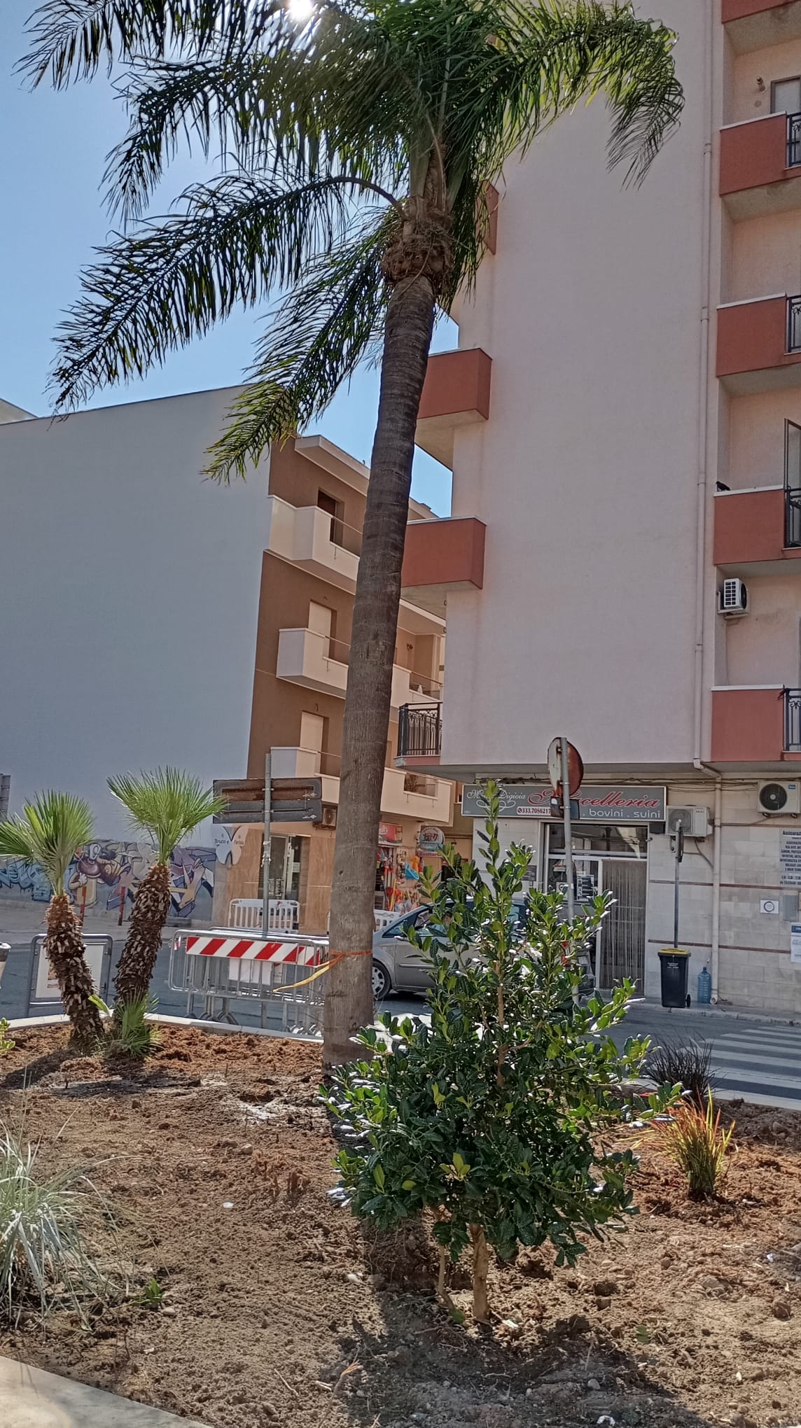 Piazza_Marconi4_Palma