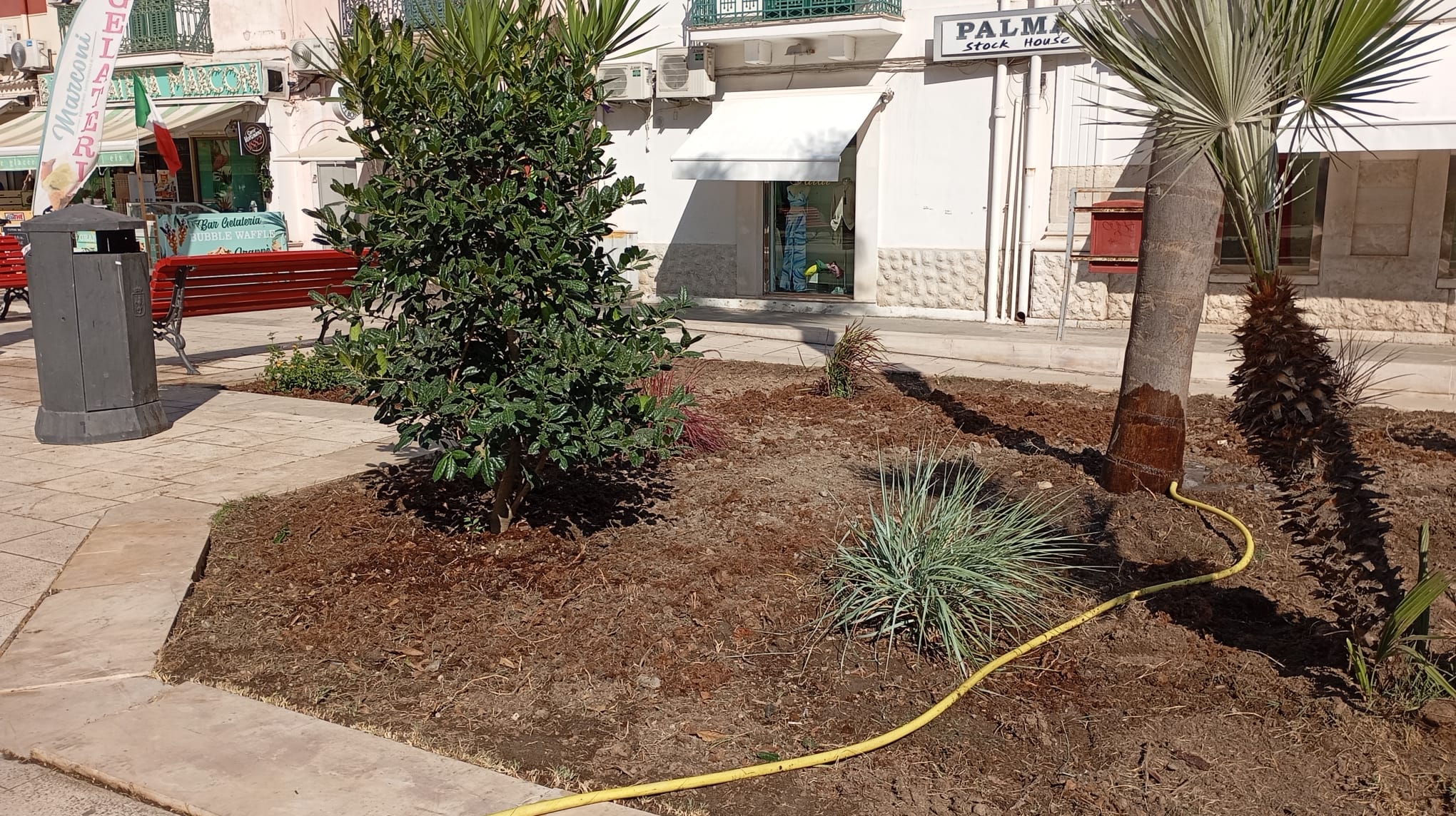 Piazza_Marconi5_Aiuola