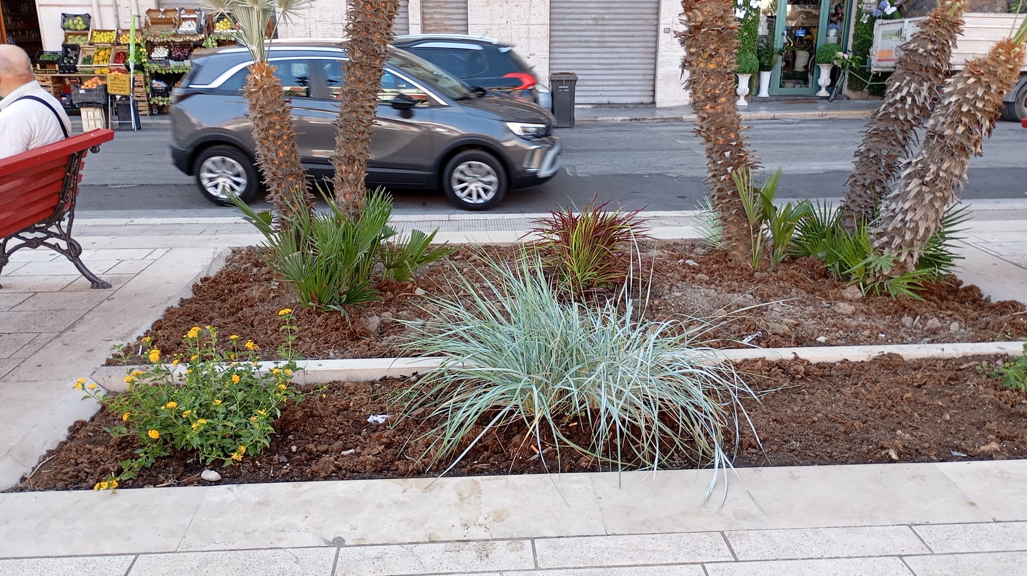 Piazza_Marconi6_Aiuola