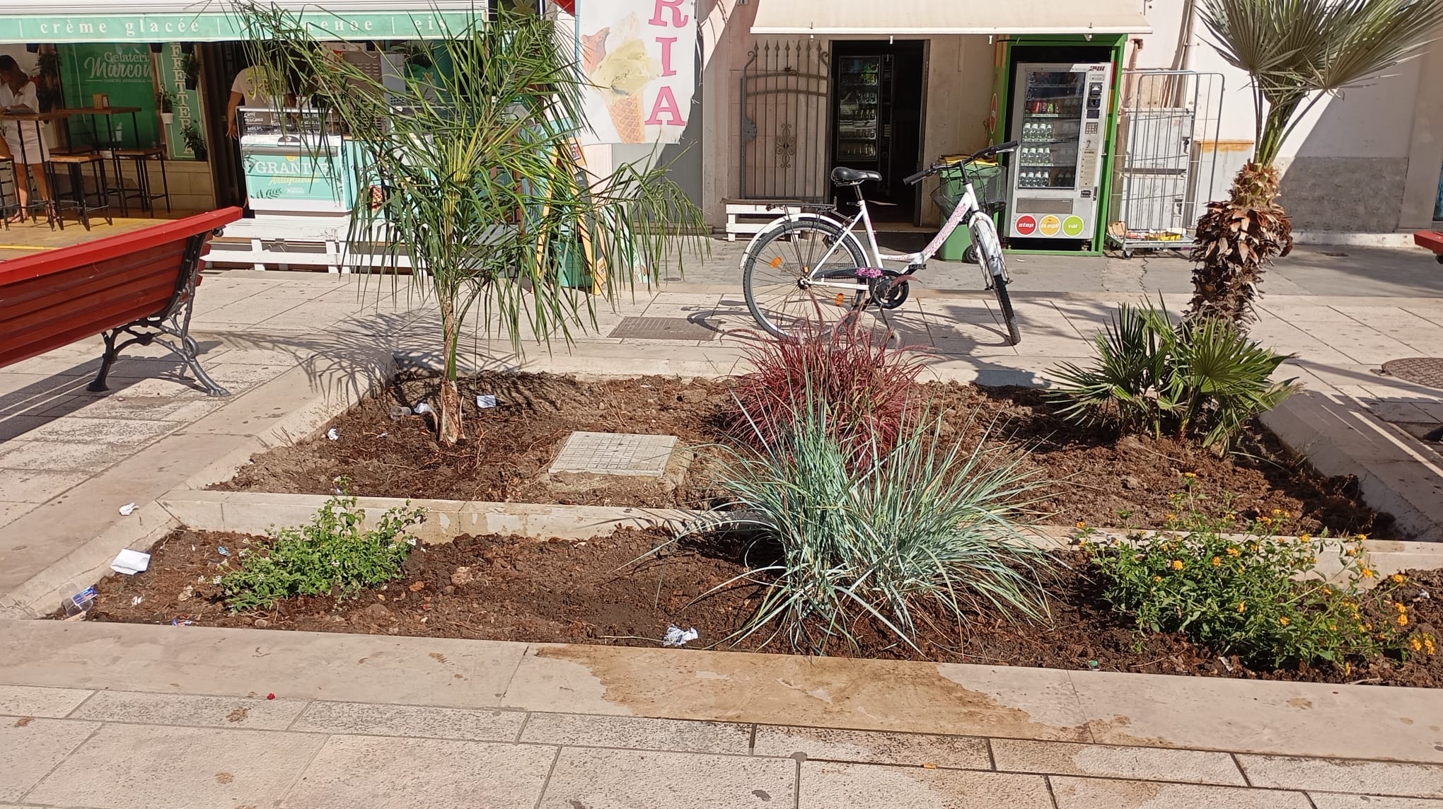 Piazza_Marconi8_Aiuola