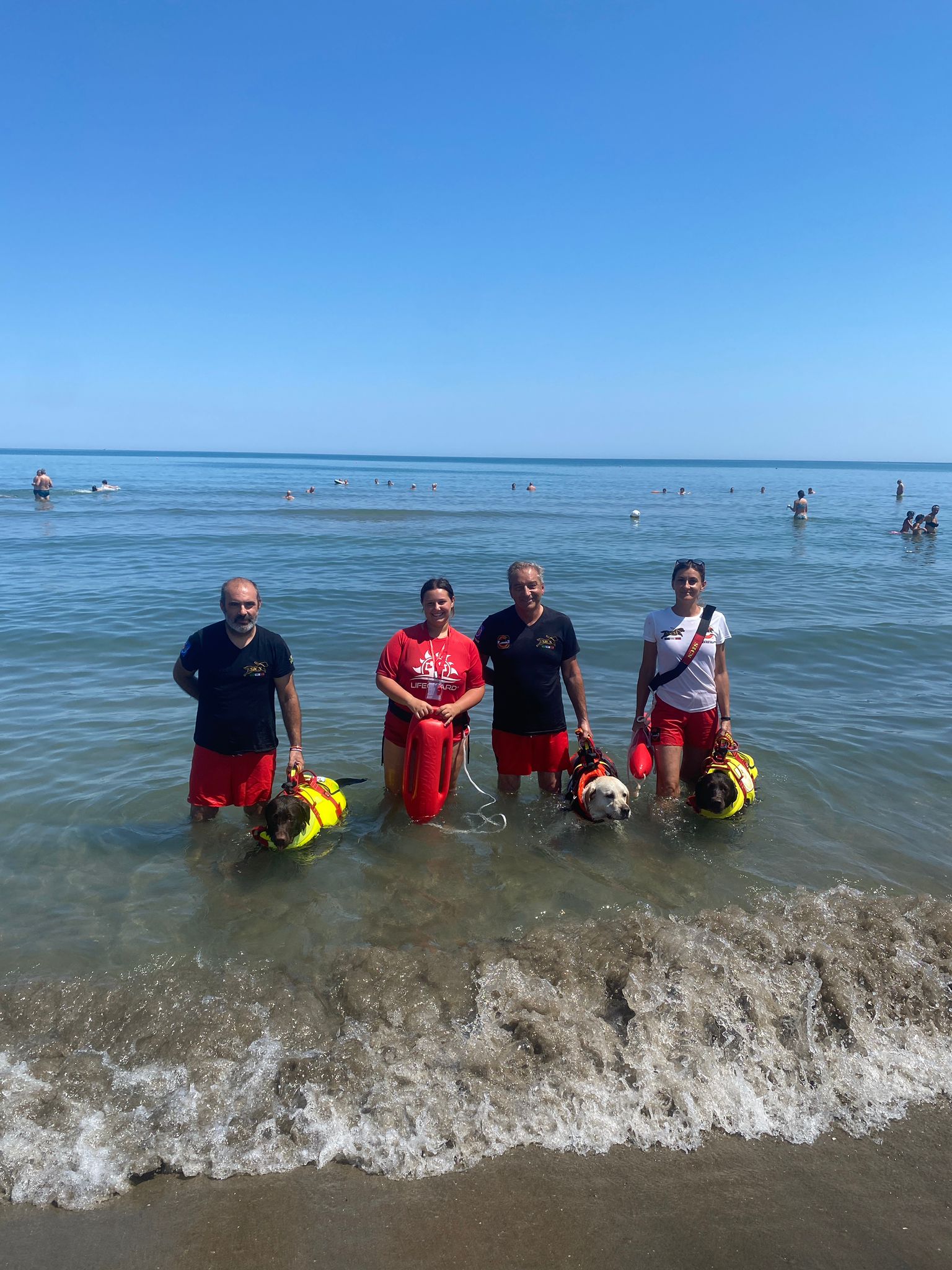 cani_salvamento_2024